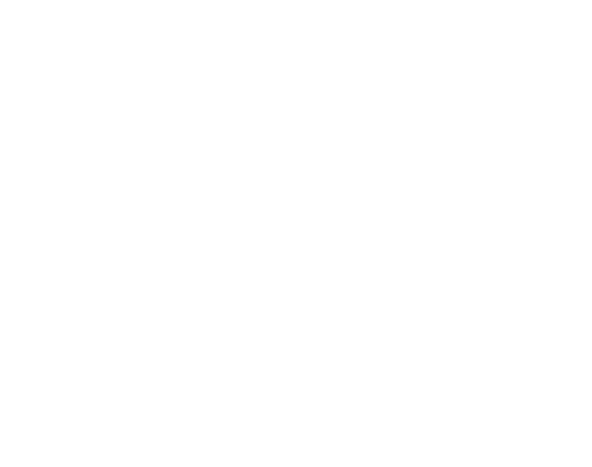 ZS